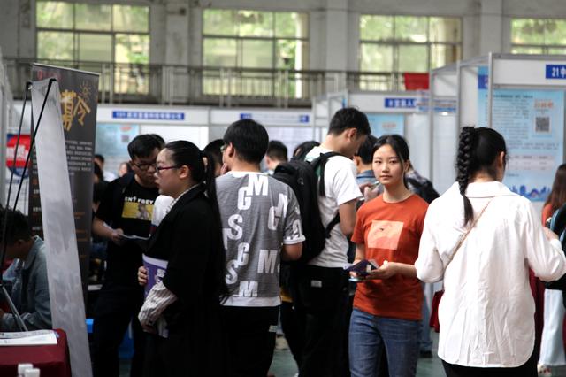 成都市公共交通有限公司关于2025年公开招聘合规与法务管理等岗位的公告